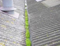Industrial Commercial Roofing Industrial Commercial Roofing